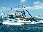 prawn trawlers